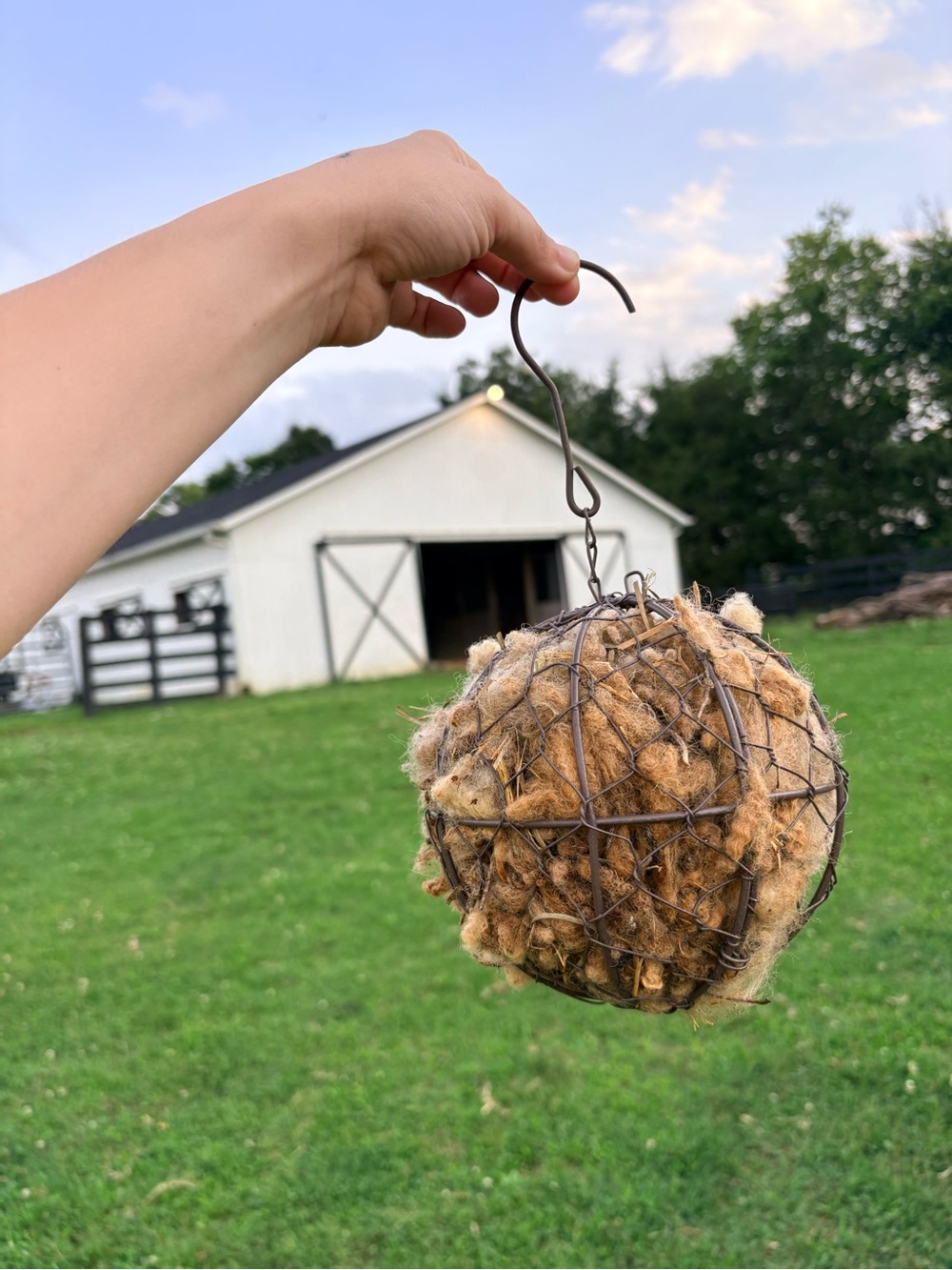 Bird Nesting Ball